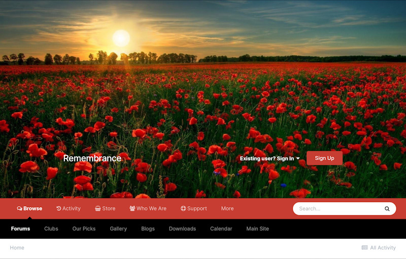 remembrance_45_header_tablet_landscape.jpg.jpeg.d61180aaa4f3e1a9604e3febed94f63d.jpeg